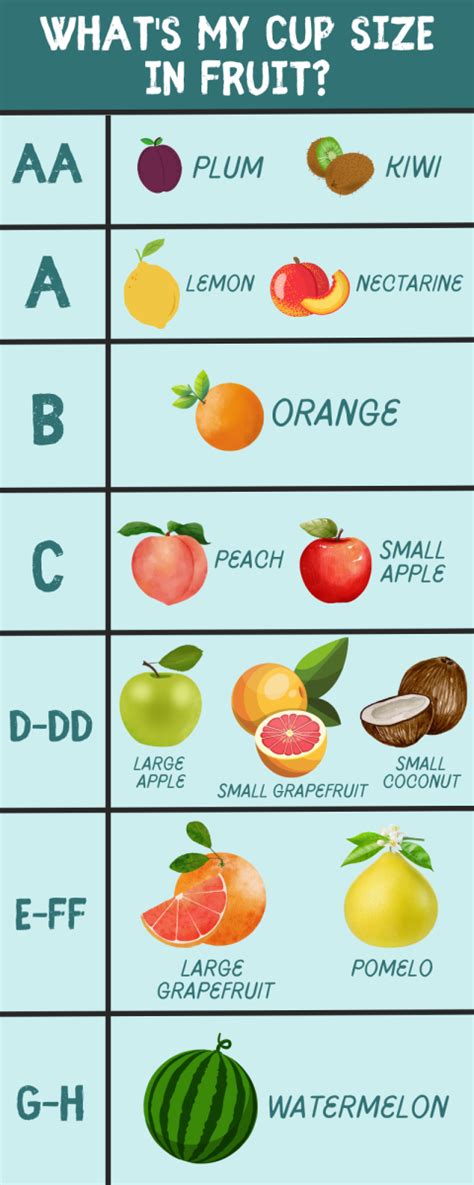 o cup titties|Your Bra Size Compared to Fruit (Comparison Chart)